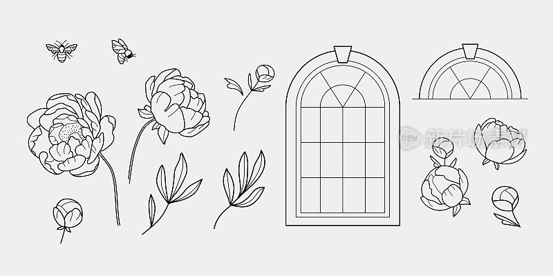 Hand drawn elegant peony flowers, window frame, honey bee. Set of aesthetic floral elements, window ang bee, ideal for logo design and branding